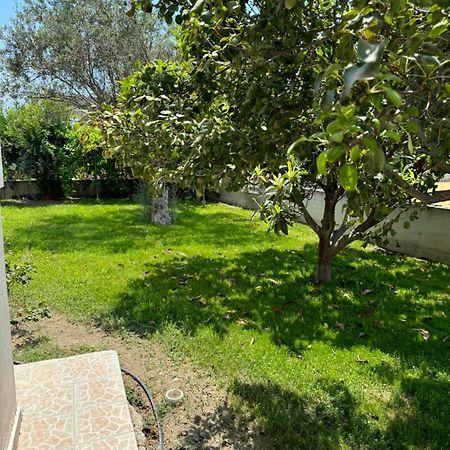 Fotis House Apartman Afándu Kültér fotó