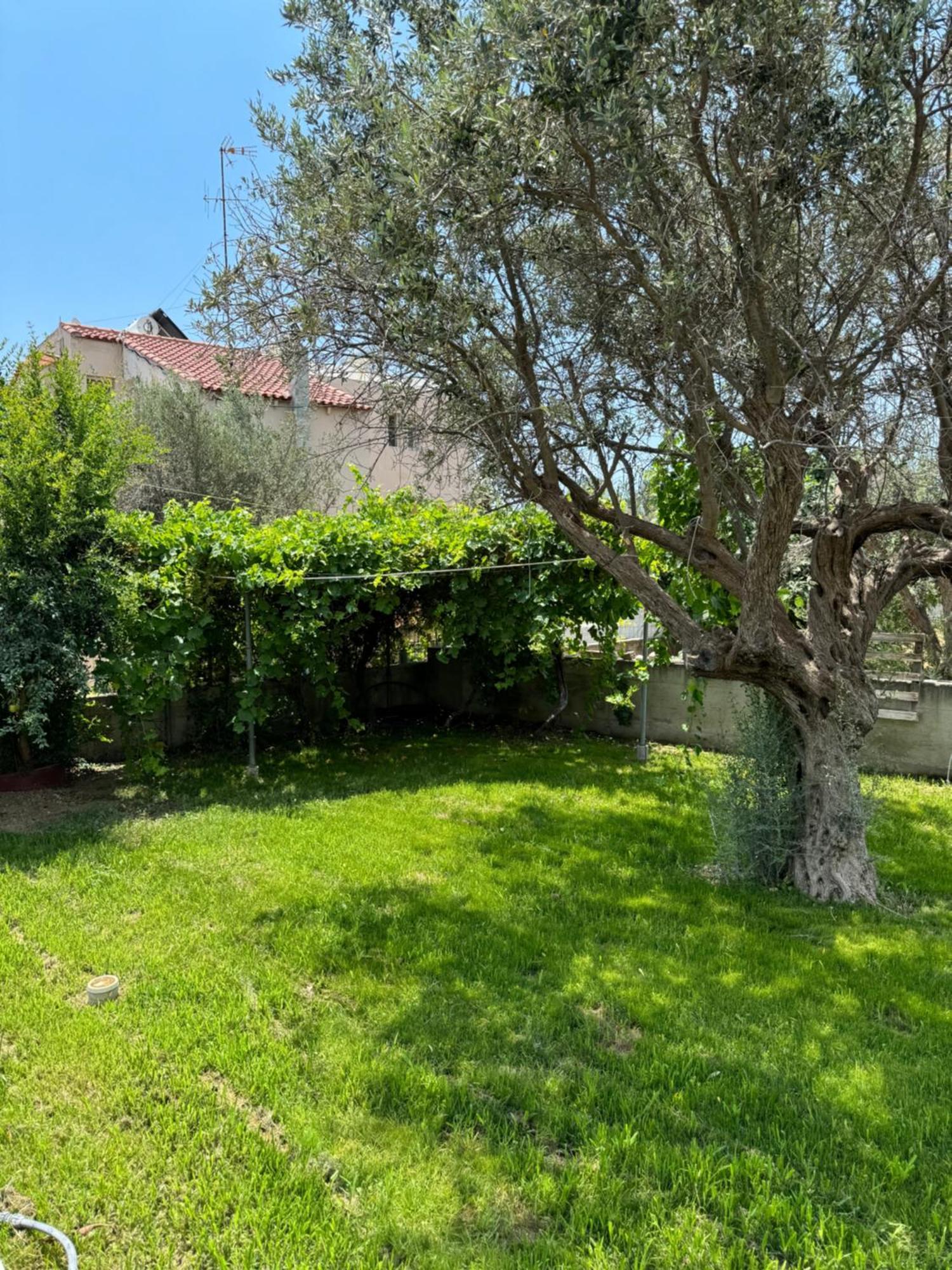 Fotis House Apartman Afándu Kültér fotó